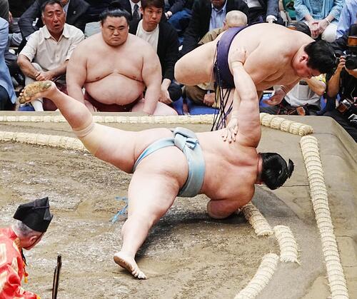 義ノ富士が初の大銀杏を披露　初土俵からちょうど２年