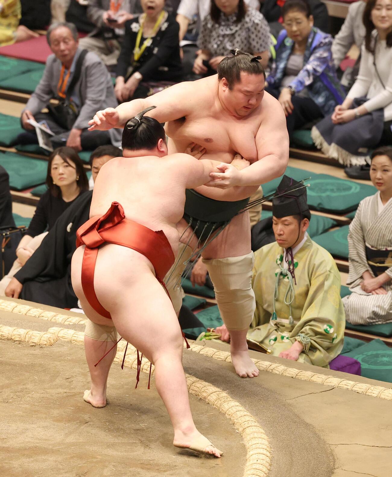 大花竜（手前）に押し出される白鷹山