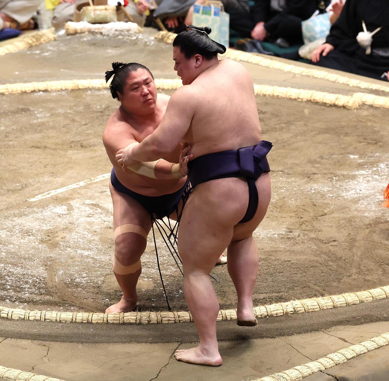 義ノ富士を押し出しで破る若隆景（撮影・黒川智章）