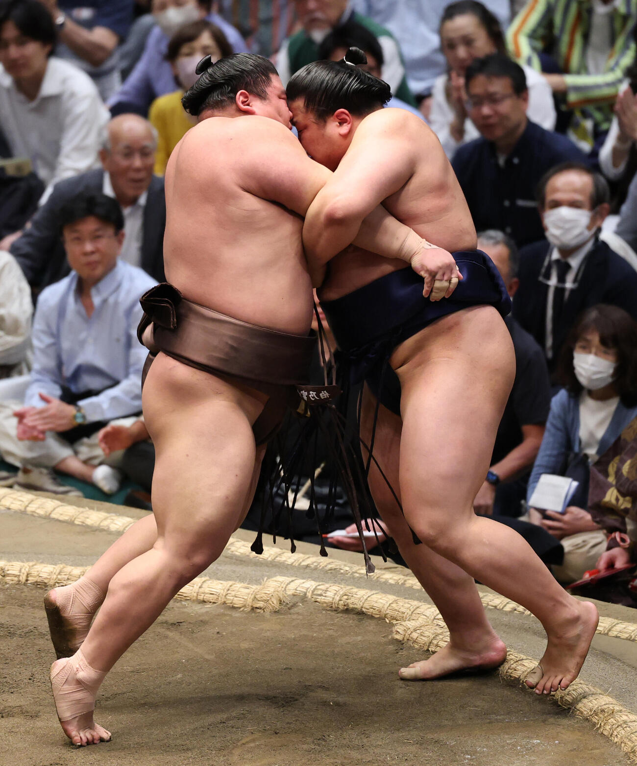 朝白龍（右）を寄り切りで破る伯乃富士（撮影・野上伸悟）