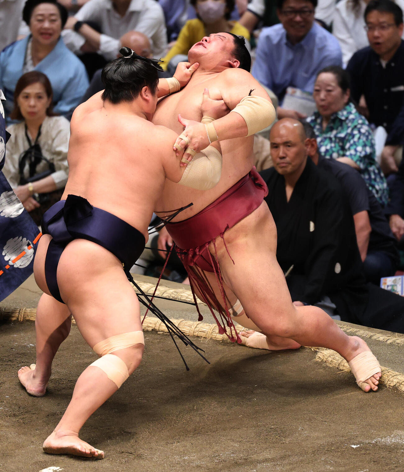 若隆景（左）に押し出しで敗れる大栄翔（撮影・野上伸悟）