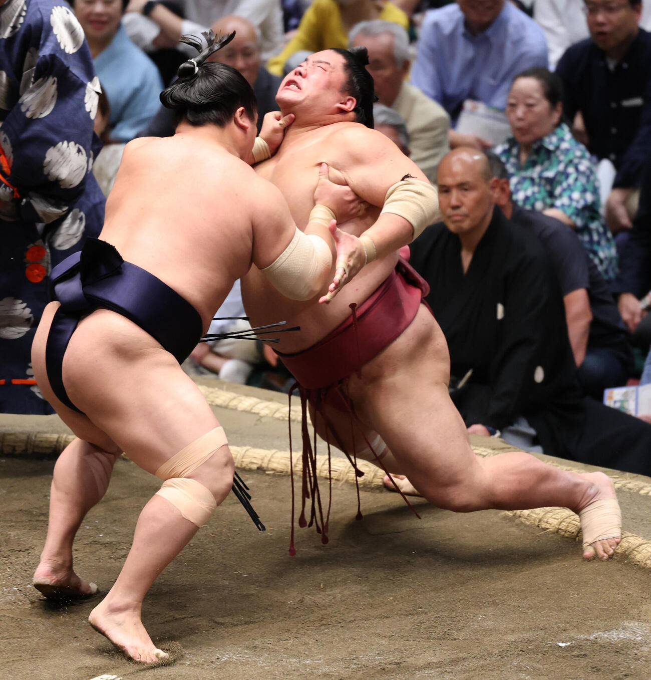 若隆景（左）に押し出しで敗れる大栄翔（撮影・野上伸悟）