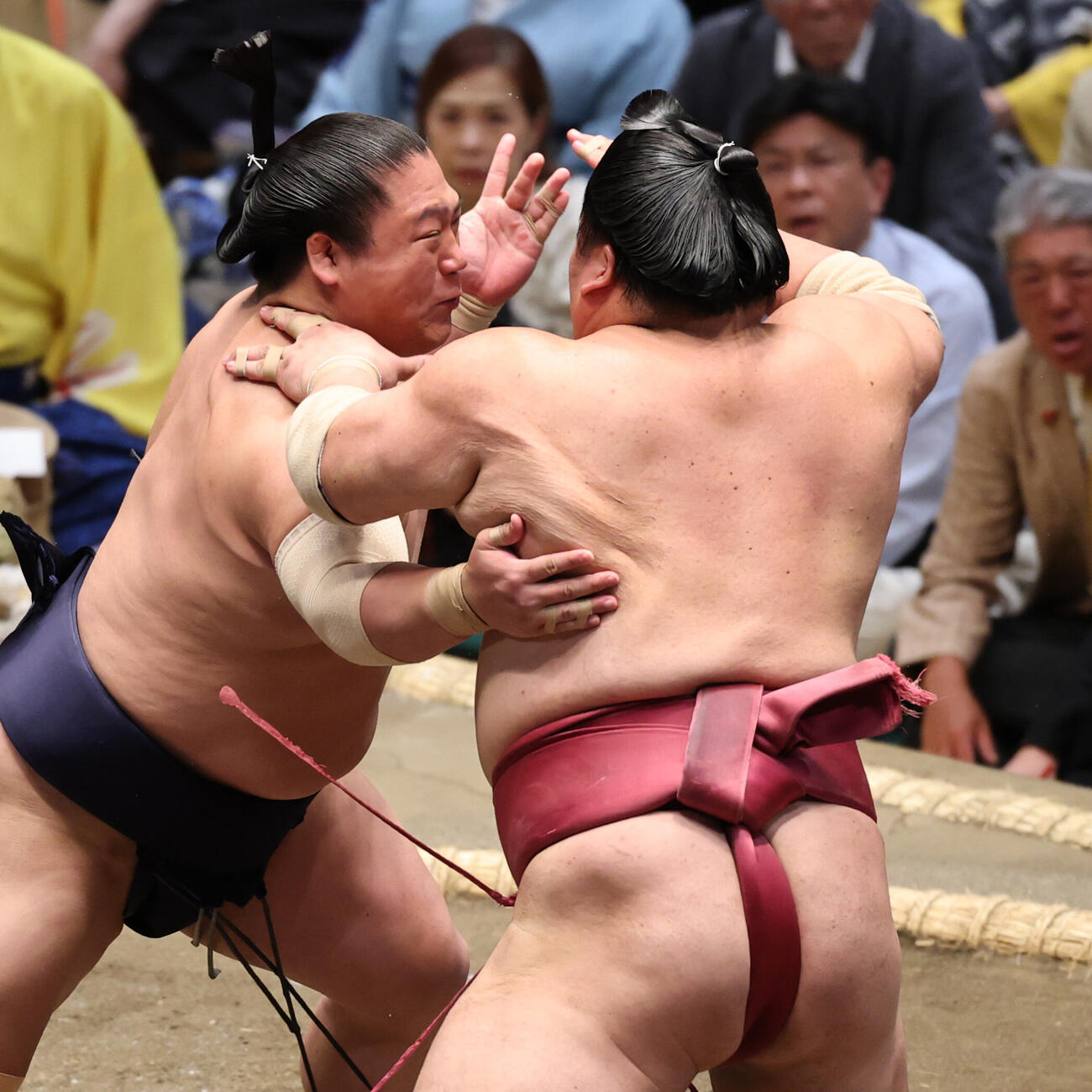 大栄翔（右）と張り合う若隆景（撮影・野上伸悟）