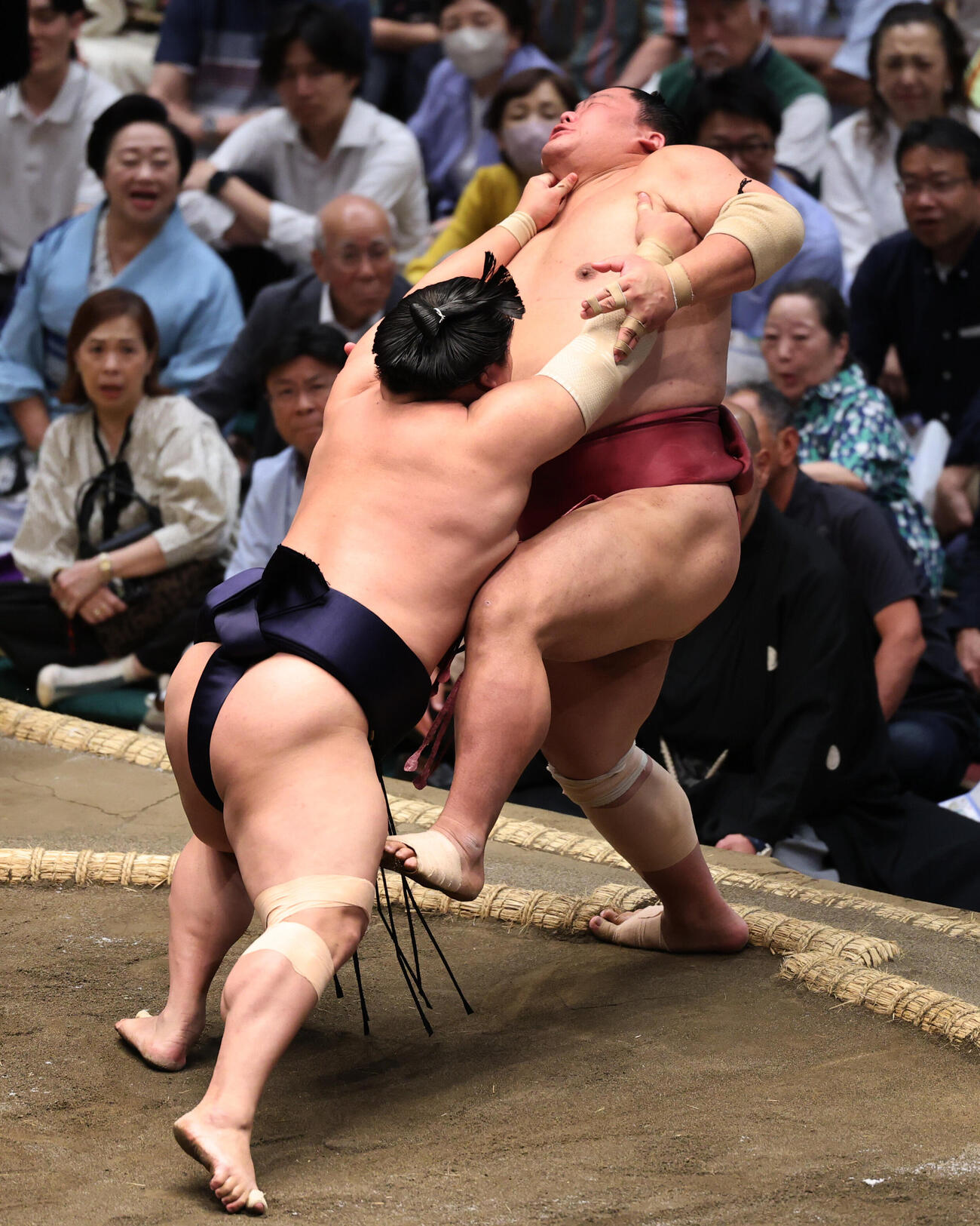 若隆景（左）に押し出しで敗れる大栄翔（撮影・野上伸悟）