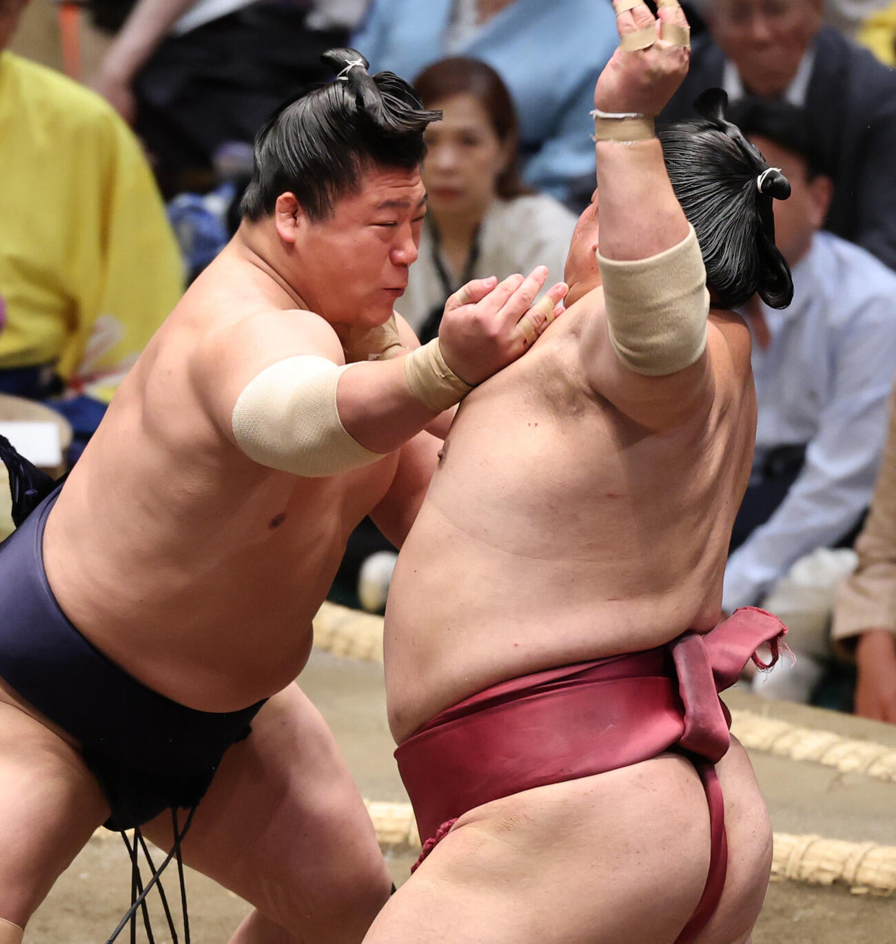 大栄翔（右）と張り合う若隆景（撮影・野上伸悟）