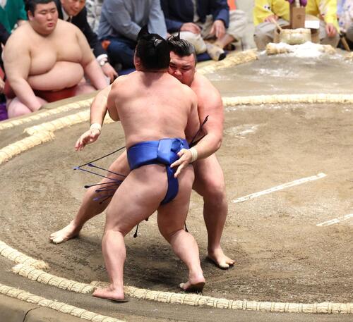 取組中に物言いつけるべきか否か　浅香山審判部長があらためて方針