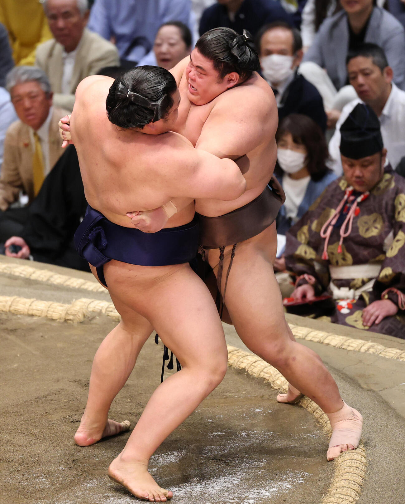 朝白龍（左）の寄りをこらえる伯乃富士（撮影・野上伸悟）