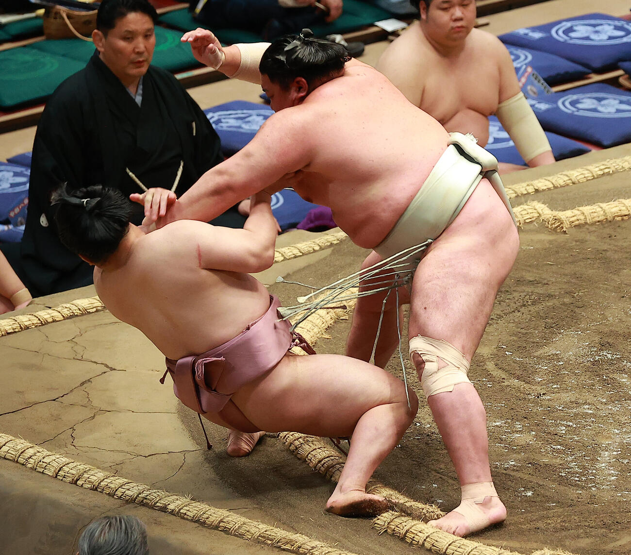 炎鵬（左）を突き倒しで破る日翔志（撮影・中島郁夫）