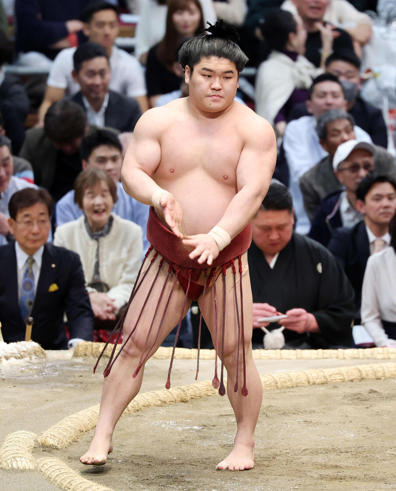 朝紅龍（2026年3月撮影）　