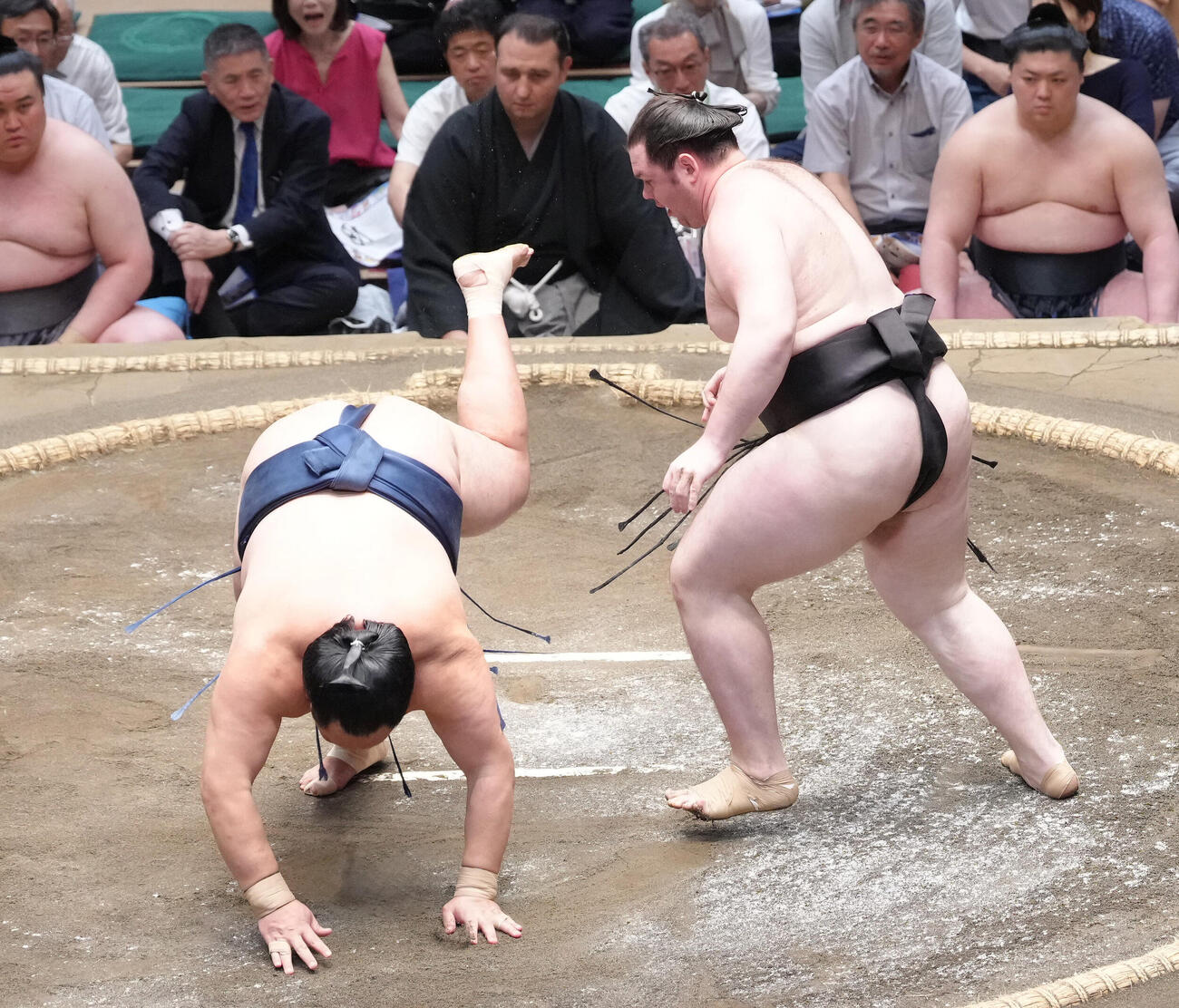 獅司（右）は玉鷲を突き落としで破る（撮影・足立雅史）