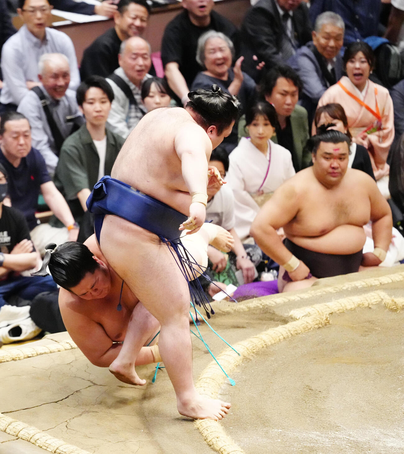 豪ノ山（手前）に、はたき込みで敗れる琴桜（撮影・江口和貴）