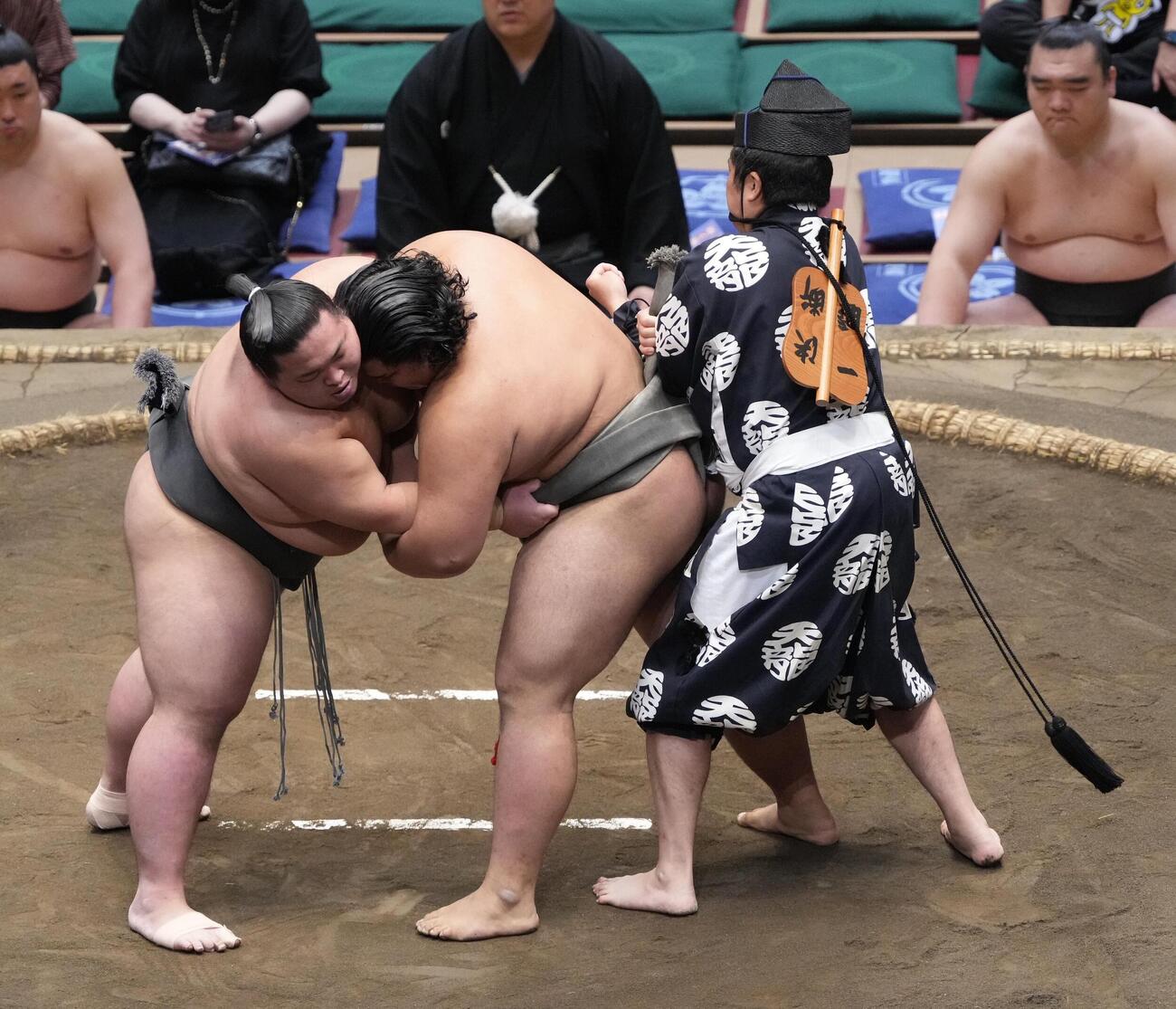 大相撲夏場所11日目　大斧（左）と竜鳳の一番で「まわし待った」をかけた行司の木村悟志（右）は緩んだ竜鳳のまわしを締め直す（撮影・小沢裕）　＝2026年5月20日
