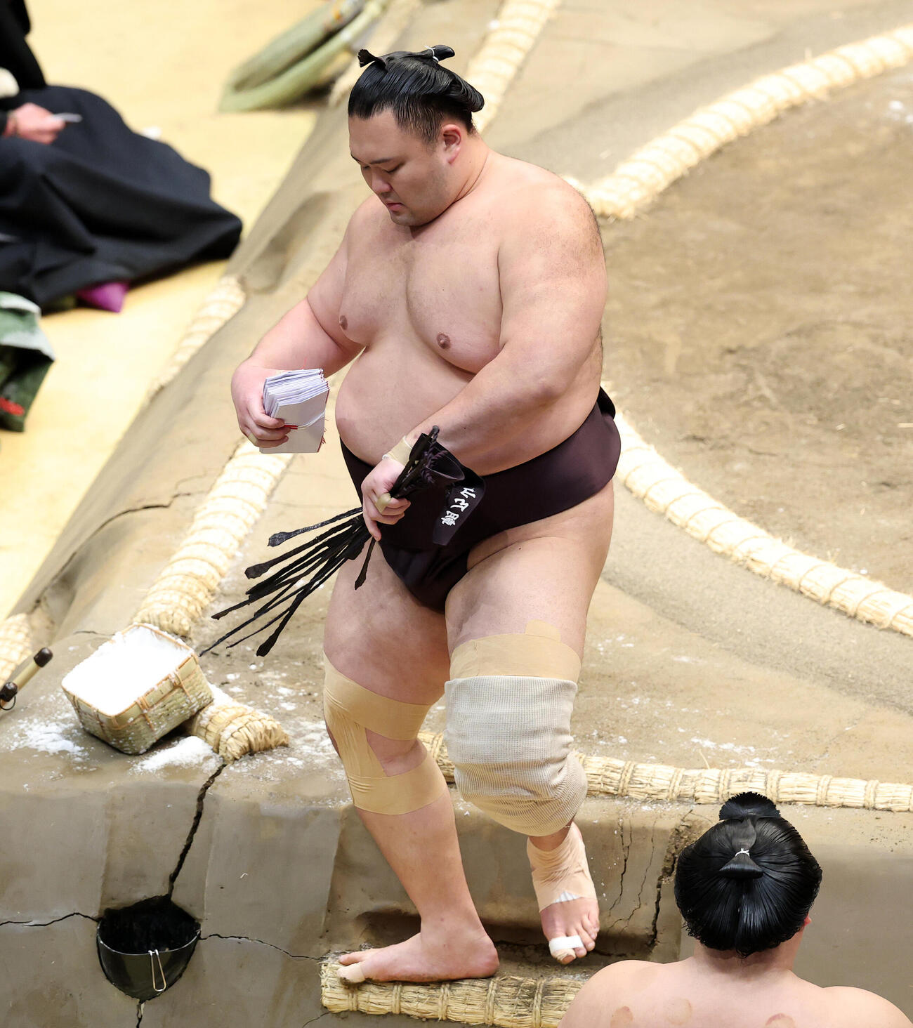 朝乃山（2026年5月12日撮影）