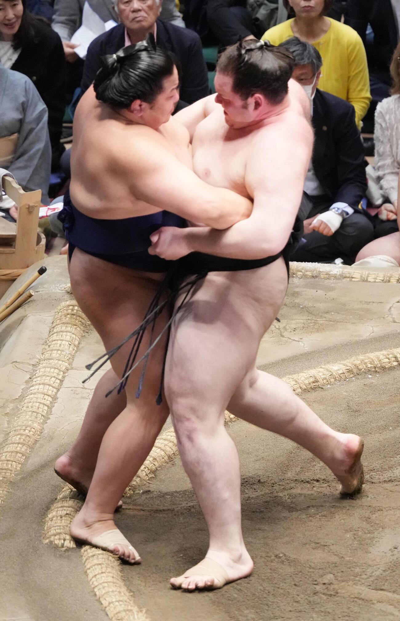 獅司（右）は朝白龍を寄り切りで破る（2026年5月22日撮影）
