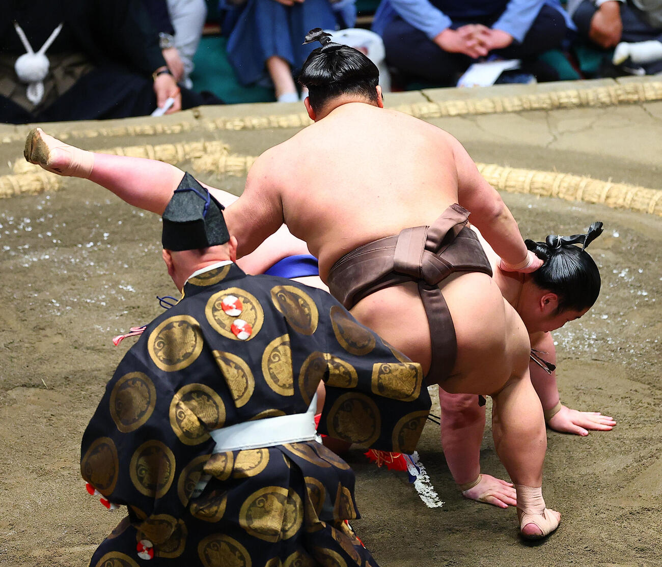 藤青雲（奥）をはたき込みで破った伯乃富士（撮影・野上伸悟）