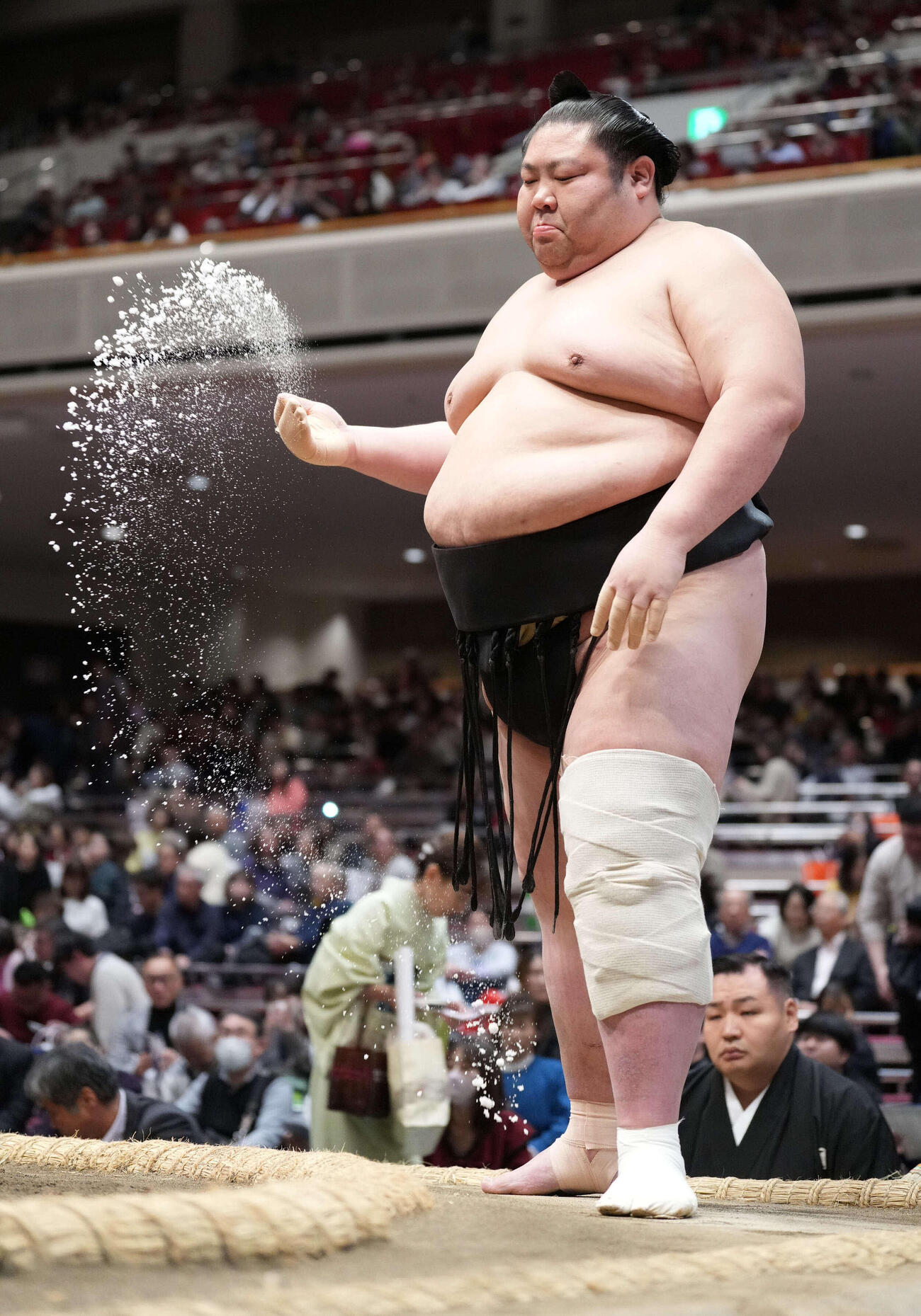 剣翔（2026年1月17日撮影）