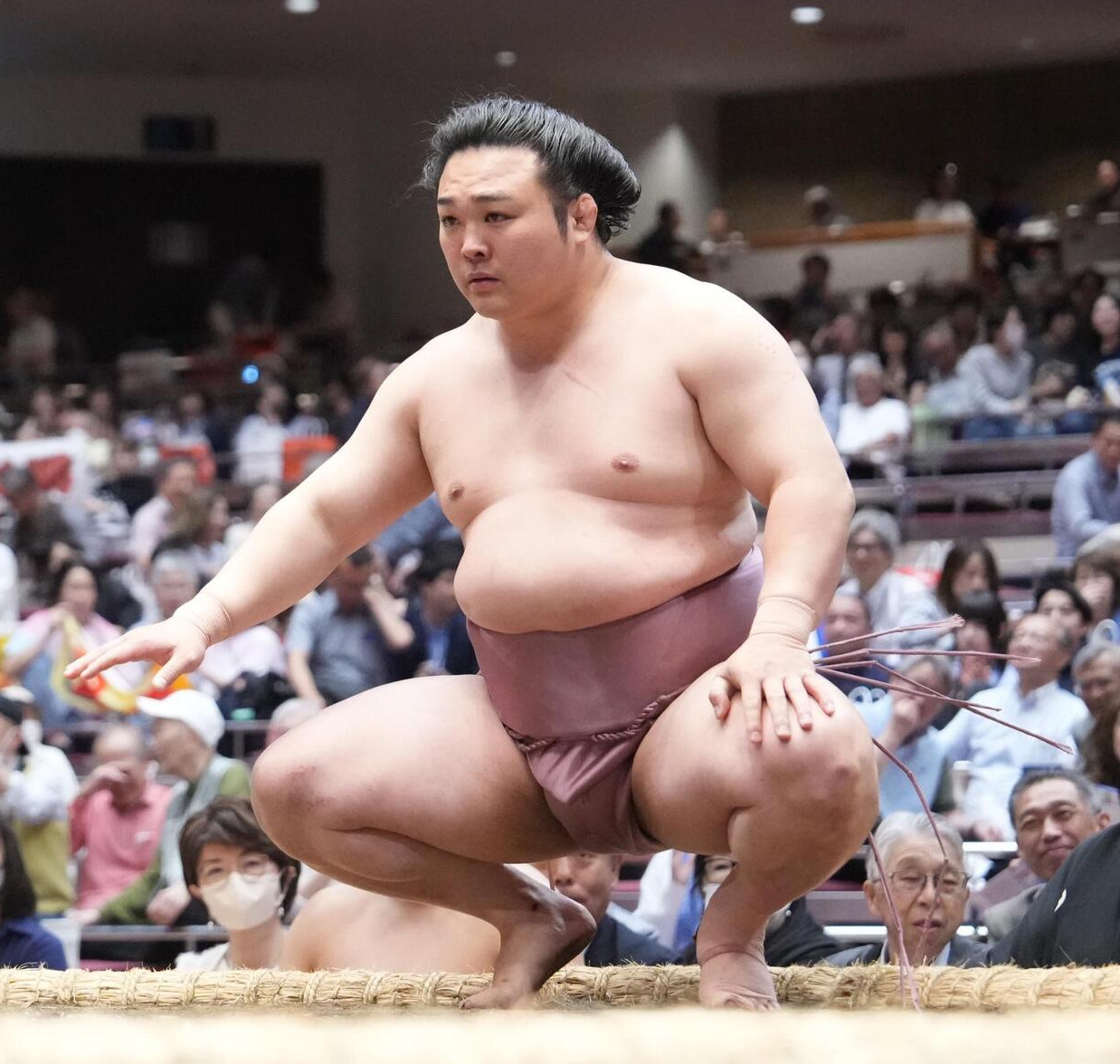炎鵬（2026年5月13日撮影）