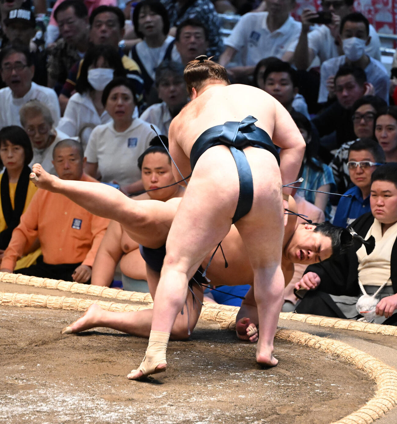 平戸海（奥）を上手投げで破る安青錦（撮影・和賀正仁）＝2026年7月12日、令和8年大相撲名古屋場所初日　IGアリーナ