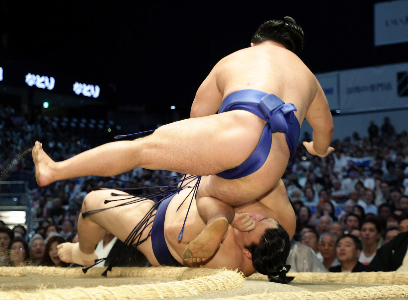 藤ノ川（上）に突き落としで敗れる大の里（撮影・前田充）