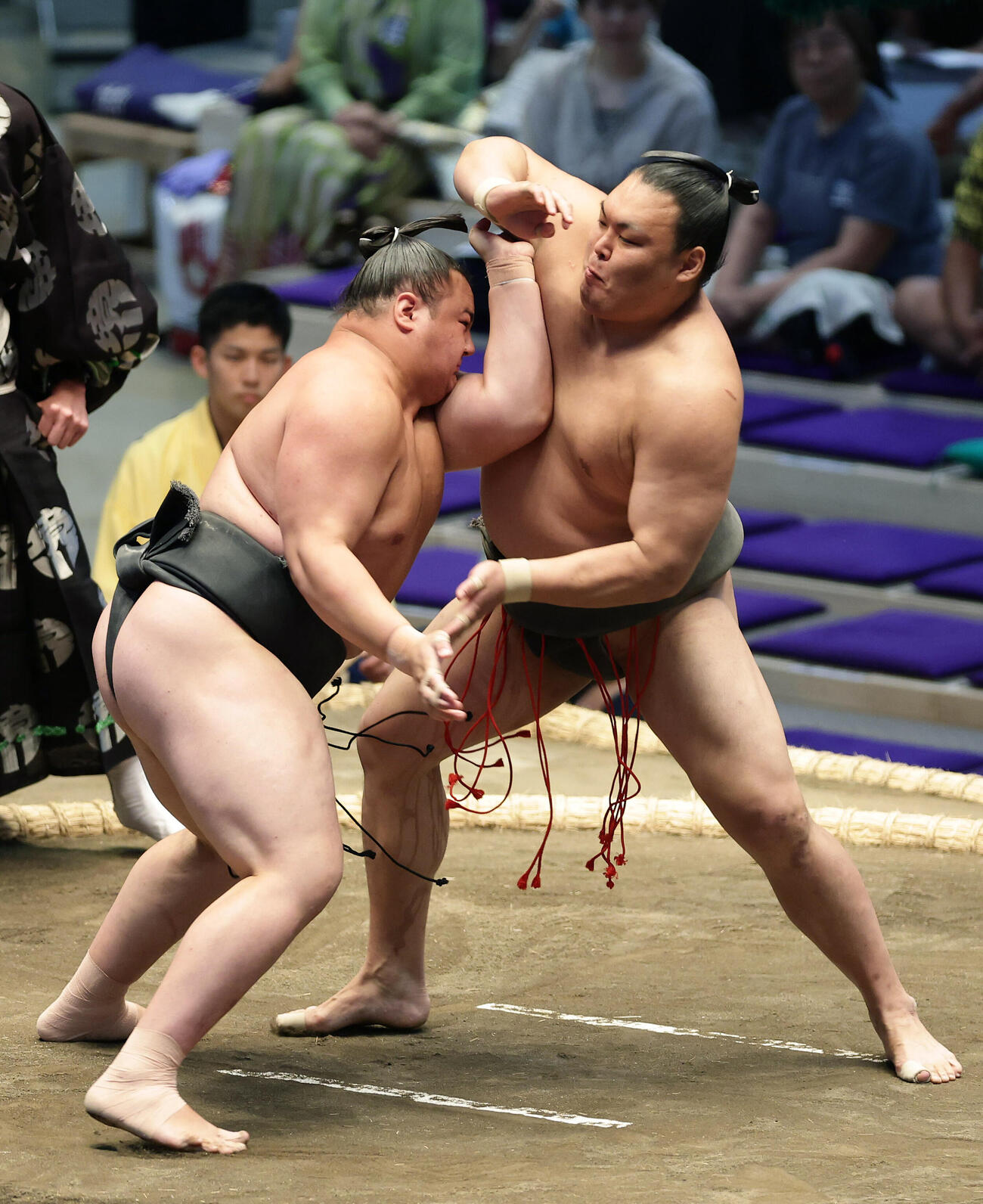 豪刃雄（右）を寄り切りで破る丹治（撮影・前田充）