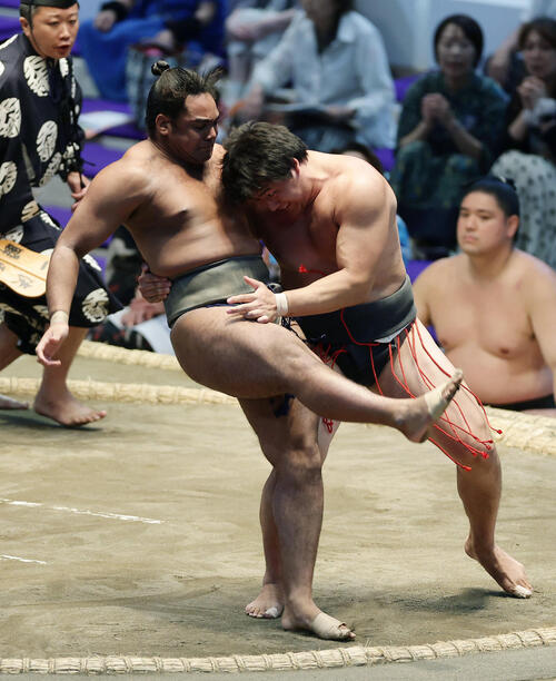 https://www.nikkansports.com/battle/sumo/news/img/202607150000744-w500_0.jpg