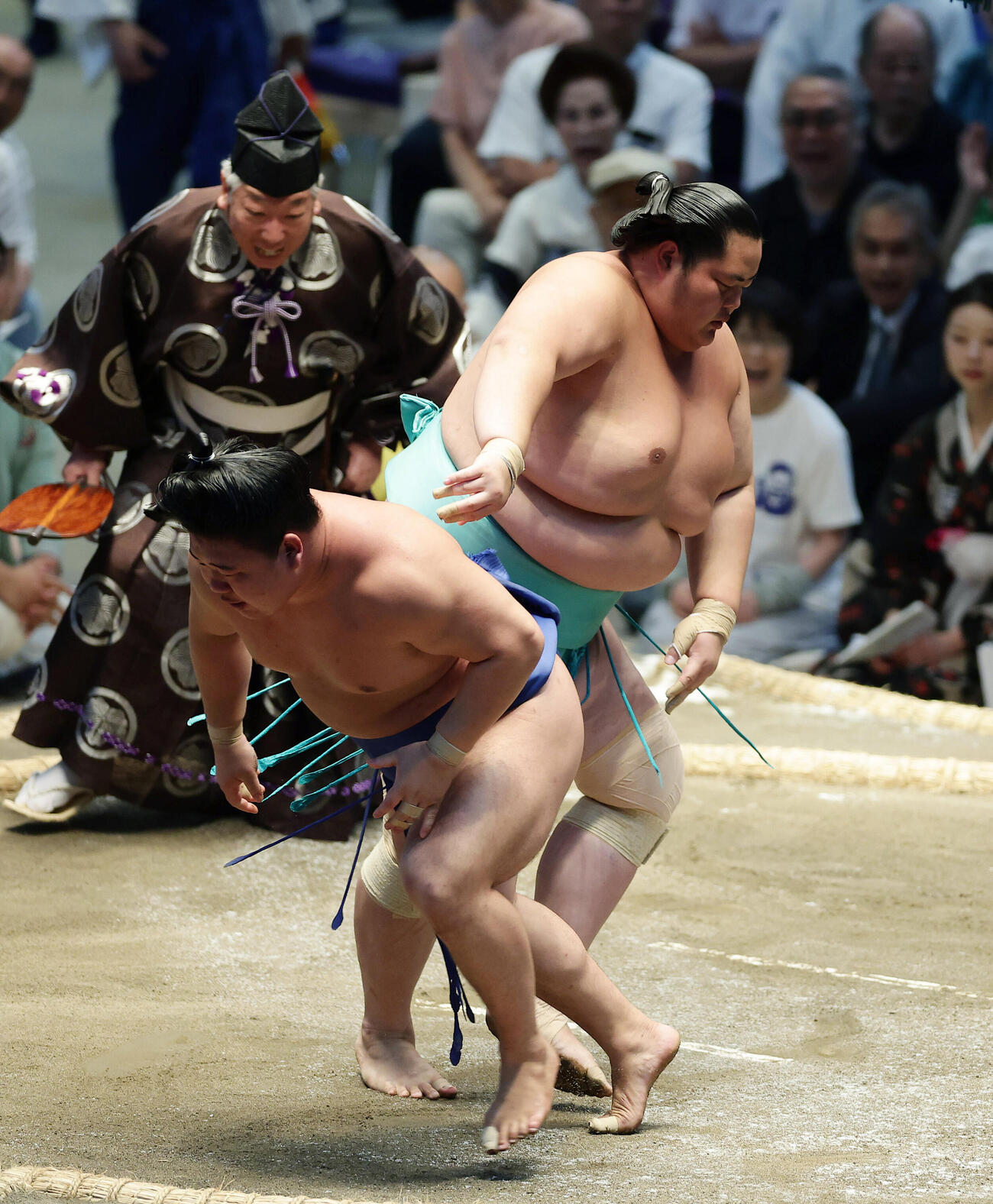 琴桜（右）にはたき込みで敗れる藤ノ川（撮影・前田充）