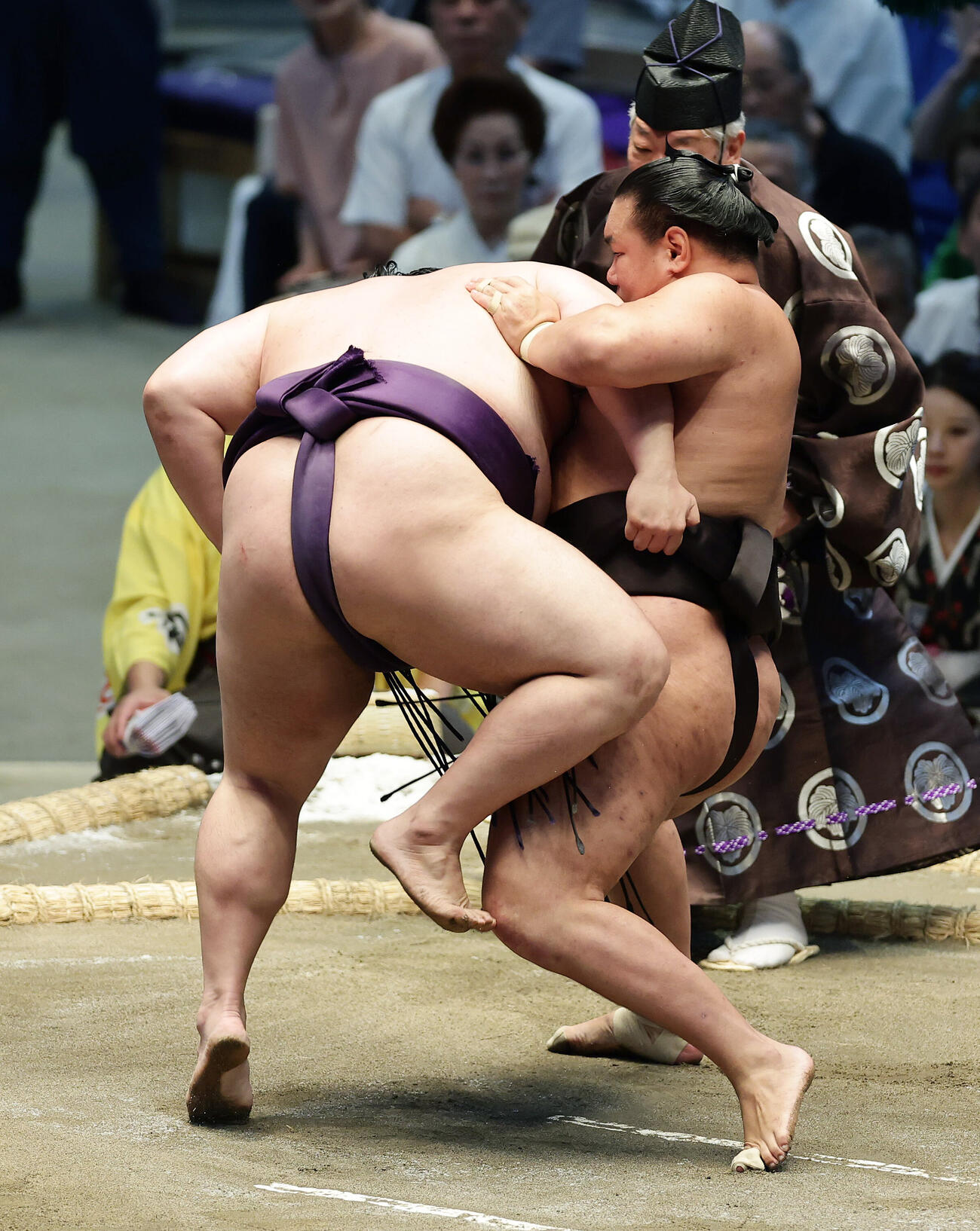 美ノ海（左）を突き落としで下す豊昇龍（撮影・前田充）