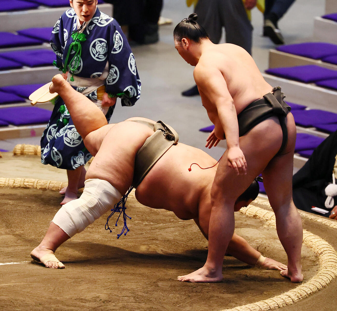 栃登に引き落としで敗れた許田（撮影・加藤哉）
