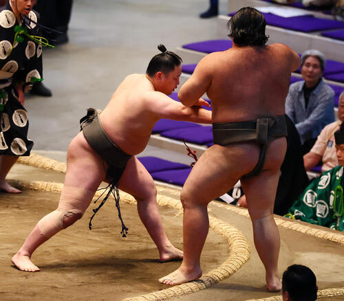 休場中の二子山親方に「勝っていい報告をしたいです」高原に続いて三田