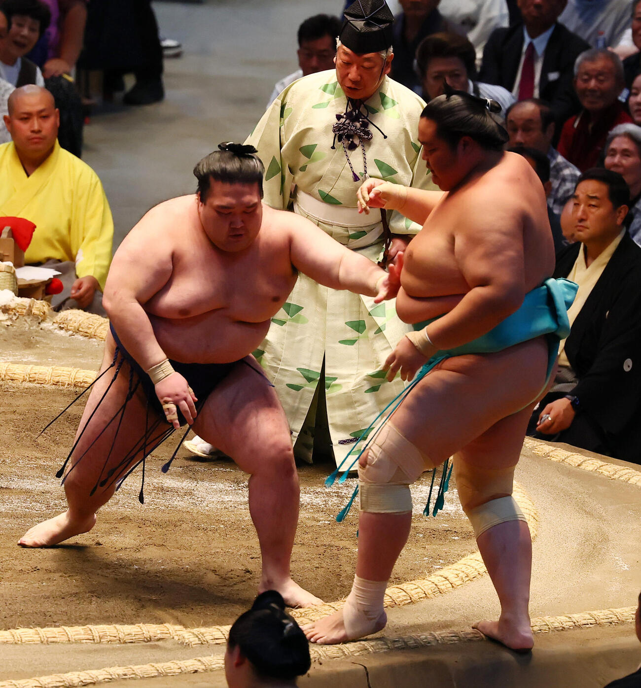 豪ノ山（左）は押し出しで琴桜を破る（撮影・加藤哉）