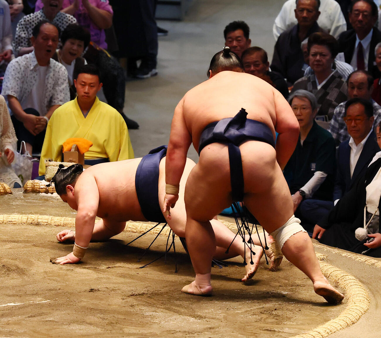 押し倒しで若ノ勝（左）を破った藤凌駕（撮影・加藤哉）