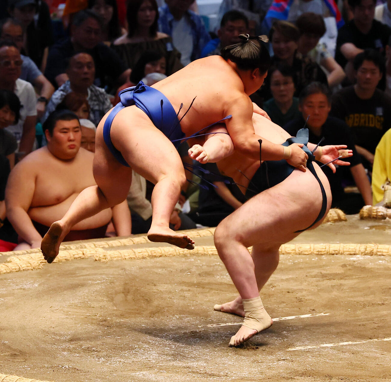 安青錦は寄り切りで藤ノ川（左）を破る（撮影・加藤哉）