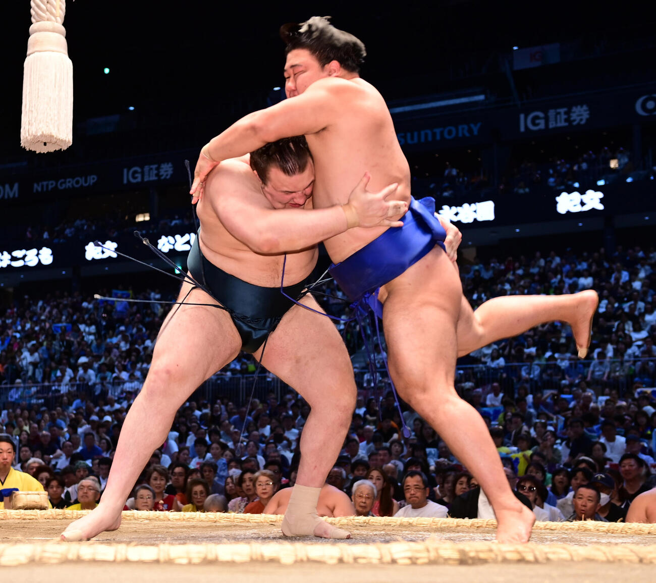 安青錦（中央）は立ち合い変化する藤ノ川をつかまえる（撮影・森本幸一）