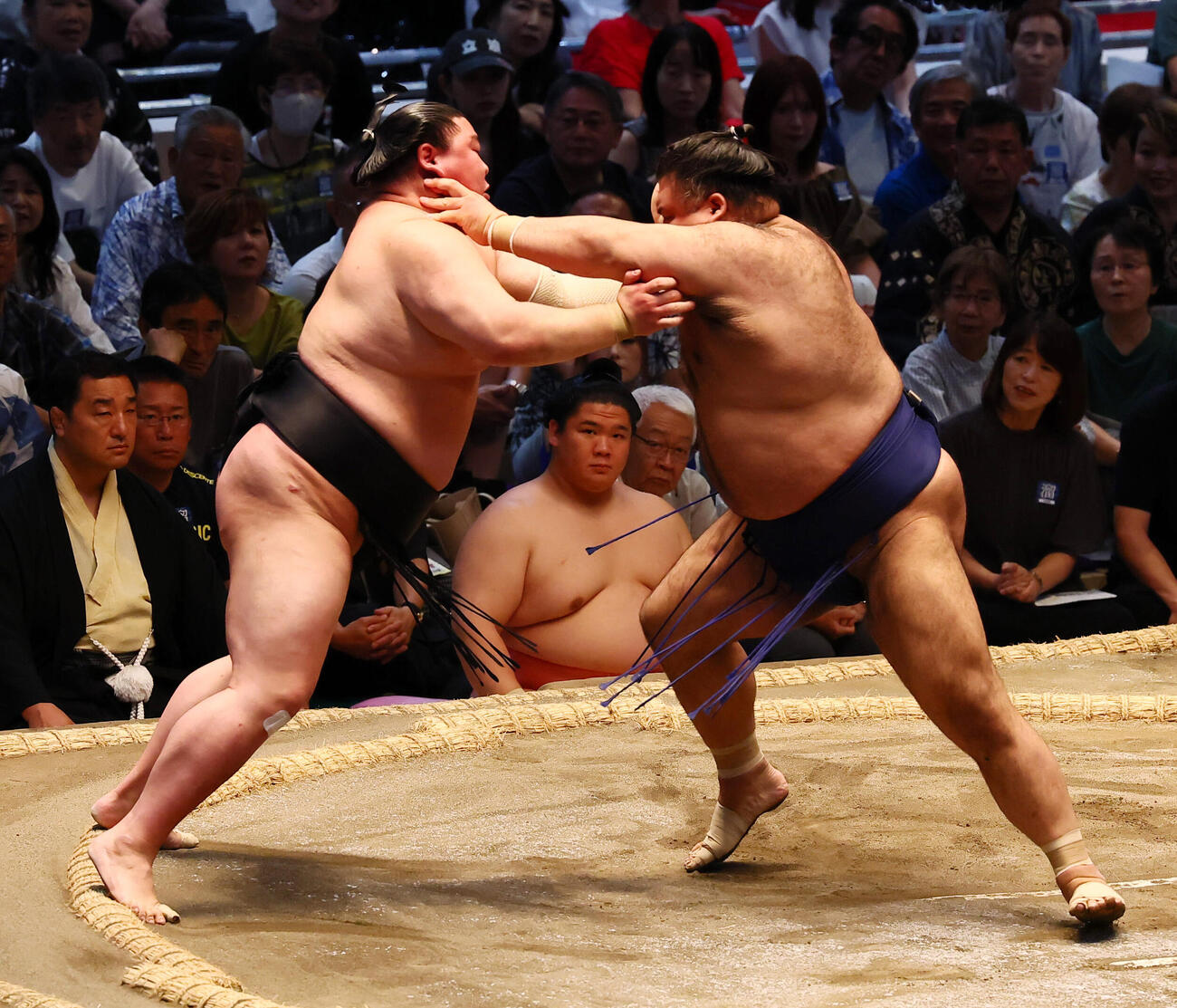 高安（右）は押し出しで正代を破る（撮影・加藤哉）