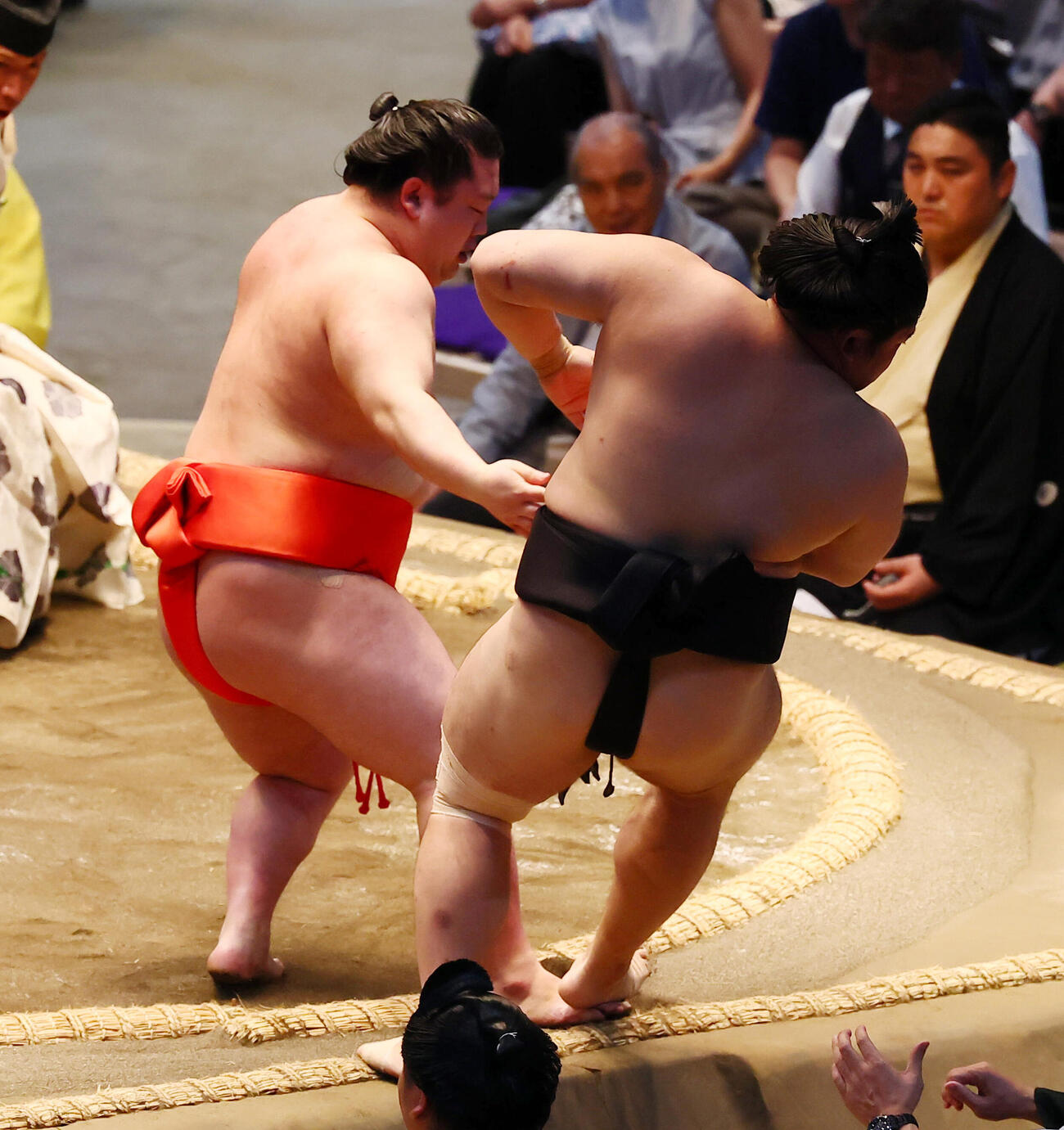 嵐富士（左）は勇み足で西ノ龍に敗れる（撮影・加藤哉）