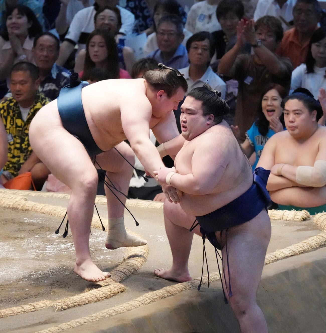安青錦（左）は豪ノ山を寄り切りで破る（撮影・森本幸一）