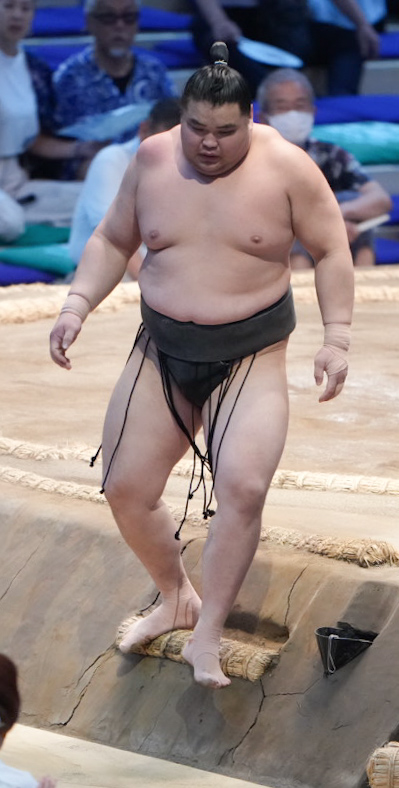 花道へ引き揚げる旭富士（撮影・小沢裕）