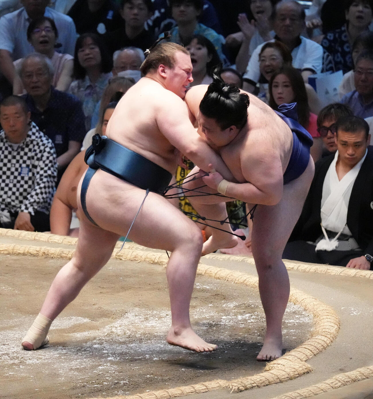 安青錦（左）は豪ノ山を寄り切りで破る（撮影・森本幸一）