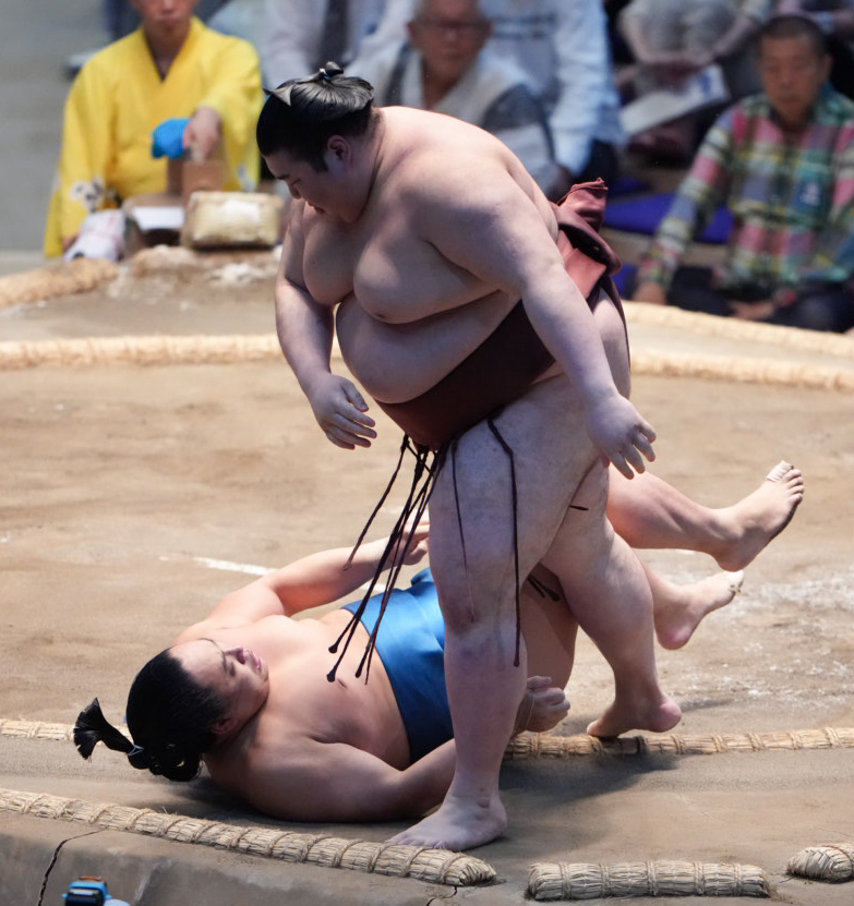 琴栄峰（左）と熱海富士の両者が土俵を割る（撮影・小沢裕）