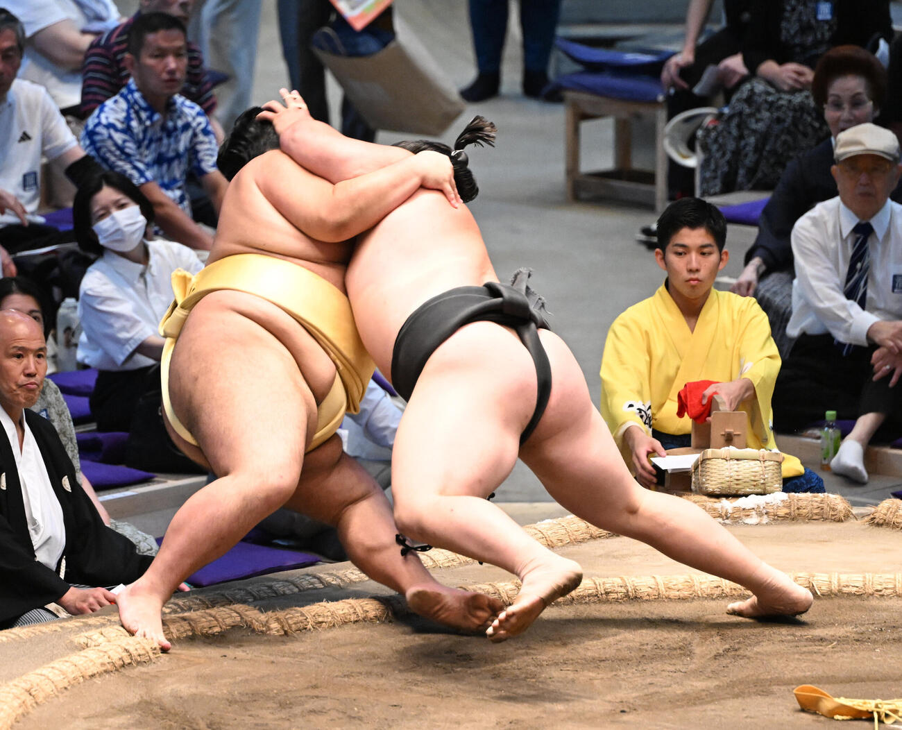 丹治（右）は寄り倒しで嘉陽を破る（撮影・和賀正仁）