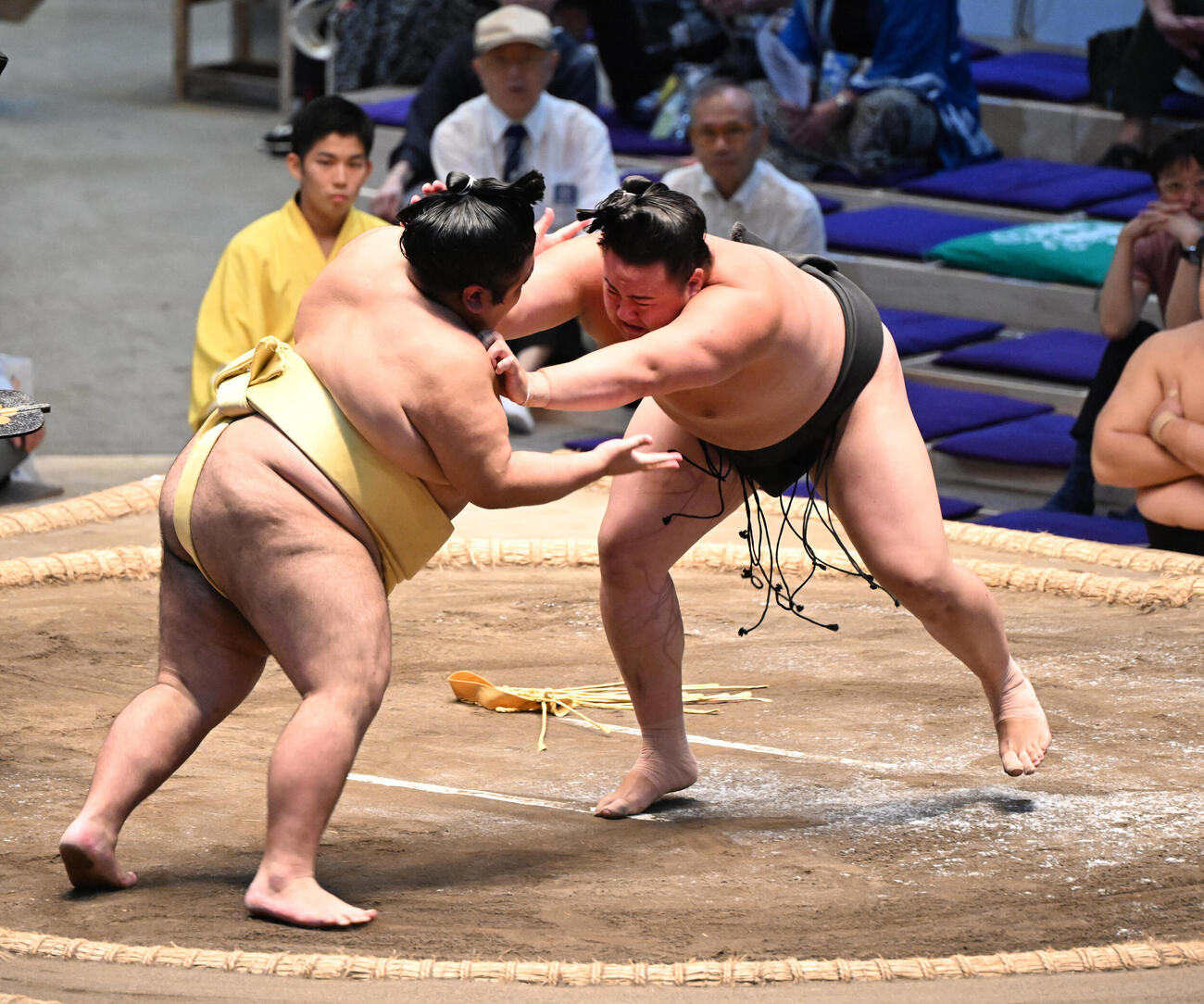丹治（右）は寄り倒しで嘉陽を破る（撮影・和賀正仁）