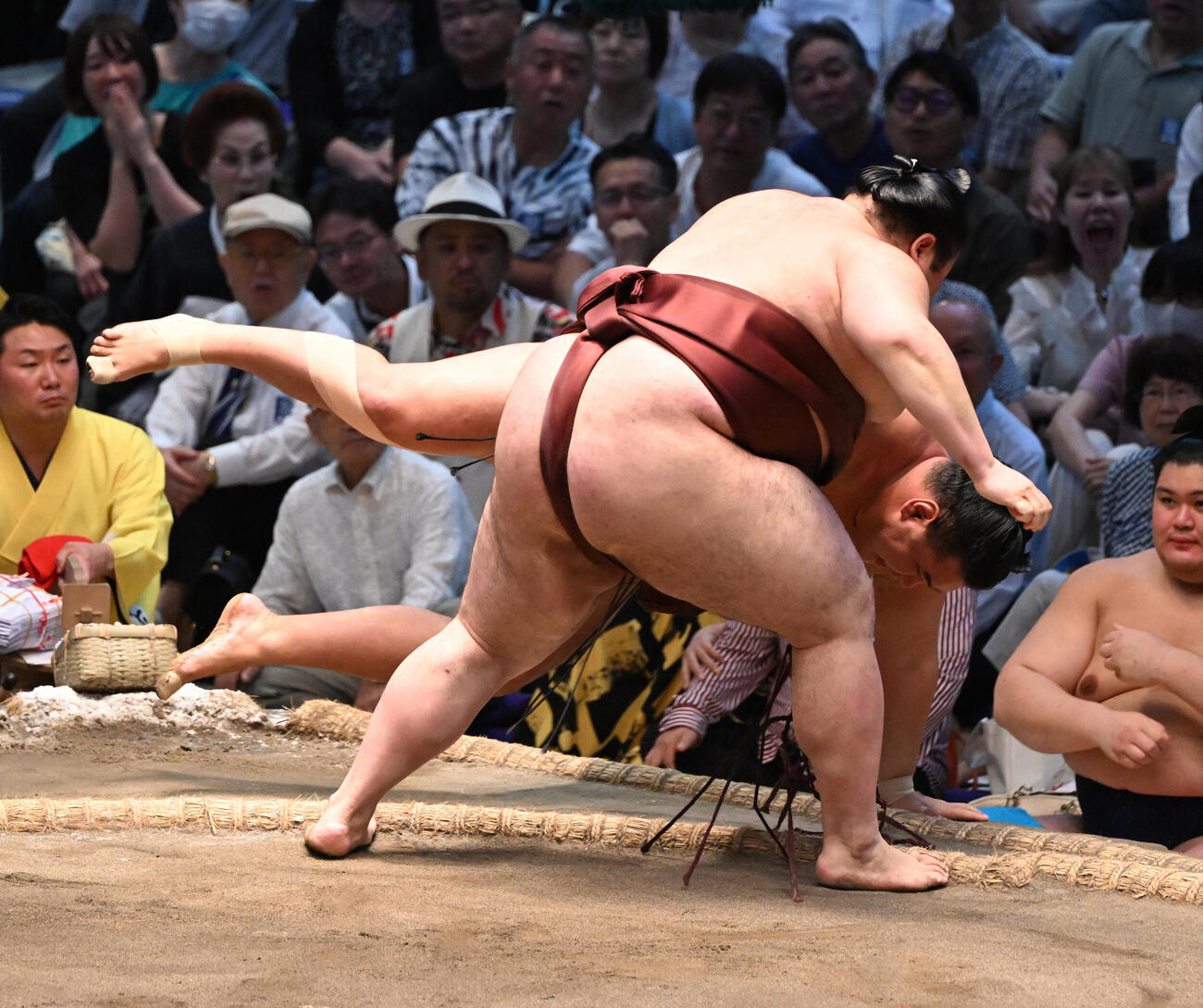 豊昇龍（奥）を寄り倒しで破る熱海富士（撮影・和賀正仁）