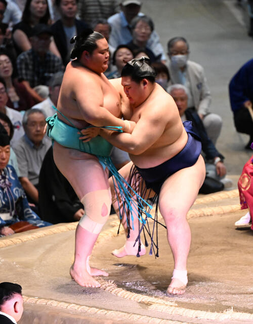 横綱で負け越し経験の元若乃花「社会人として諦めなかったのは引退して