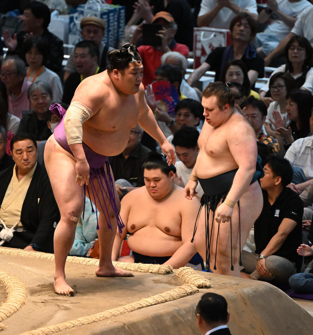 尊富士（左）を寄り倒しで破る安青錦（撮影・和賀正仁）