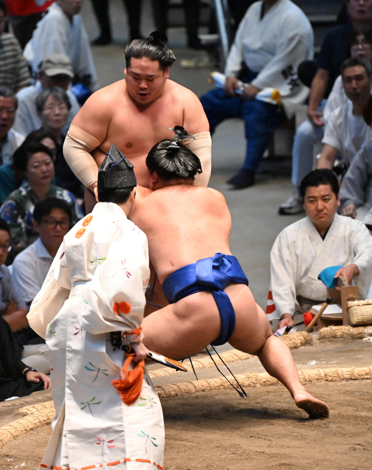 藤ノ川（手前）は寄り切りで錦富士を破る（撮影・和賀正仁）
