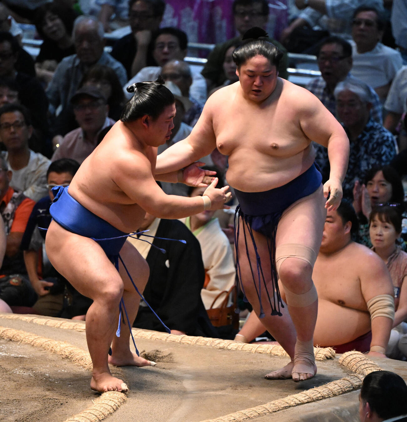 藤ノ川（左）は寄り切りで藤青雲を破る（撮影・和賀正仁）