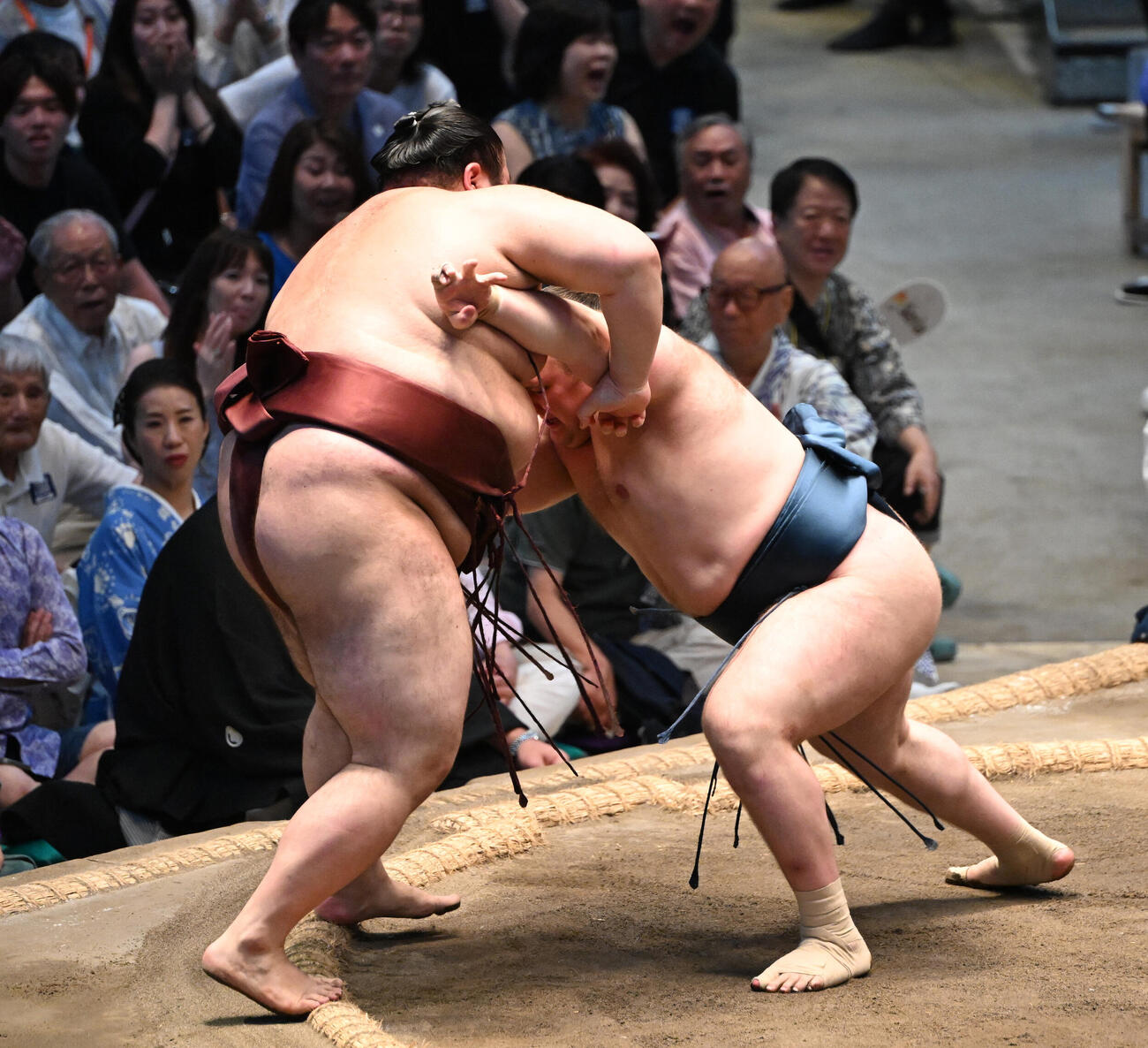 安青錦（右）は熱海富士を破る（撮影・和賀正仁）