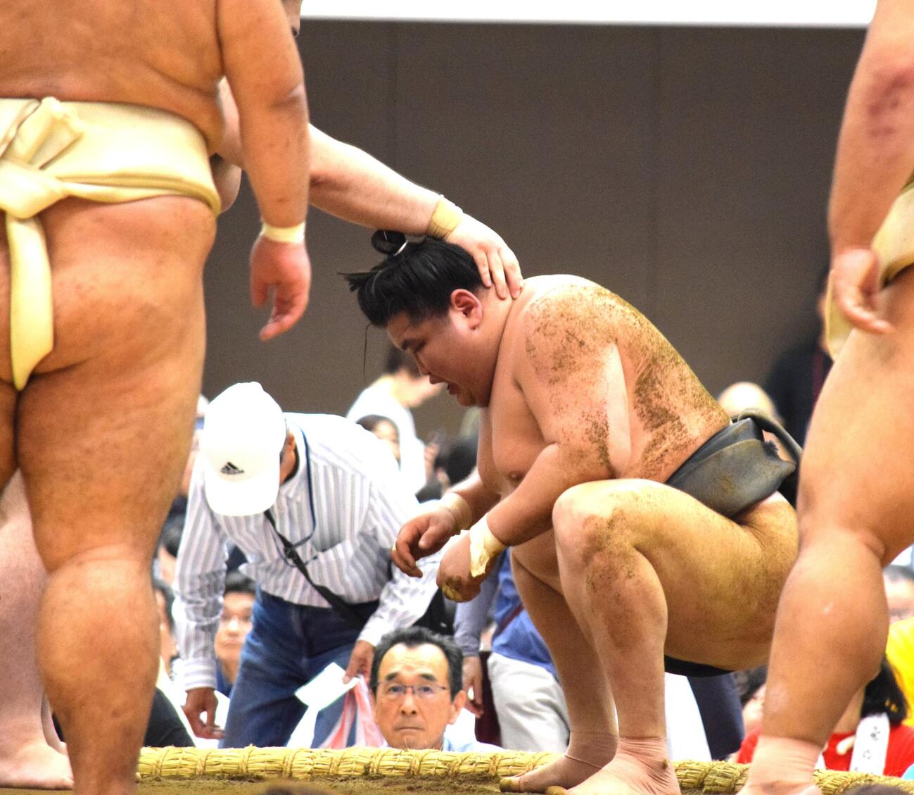 関取衆とぶつかり稽古する旭富士（撮影・山田遼太郎）