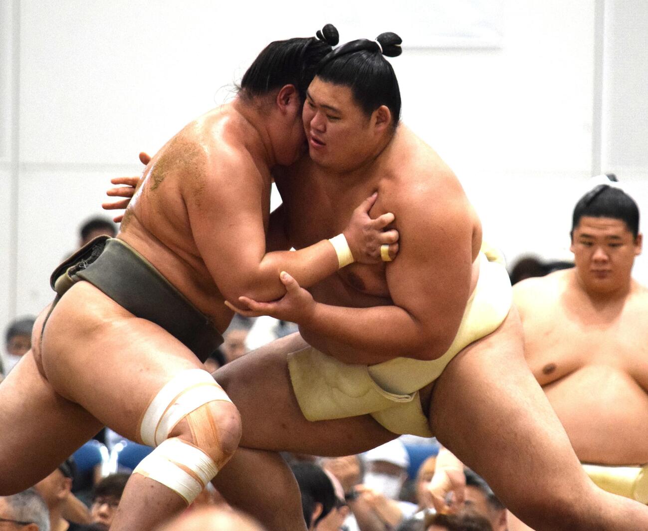 稽古で胸を出す大の里（撮影・山田遼太郎）
