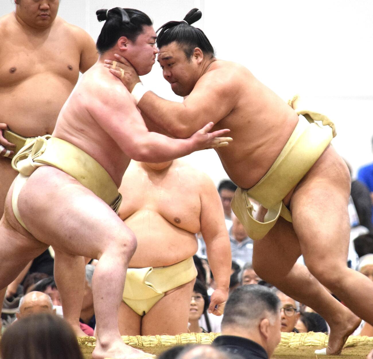 時疾風（左）と申し合い稽古をする霧島（撮影・山田遼太郎）